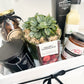 Gift Hamper