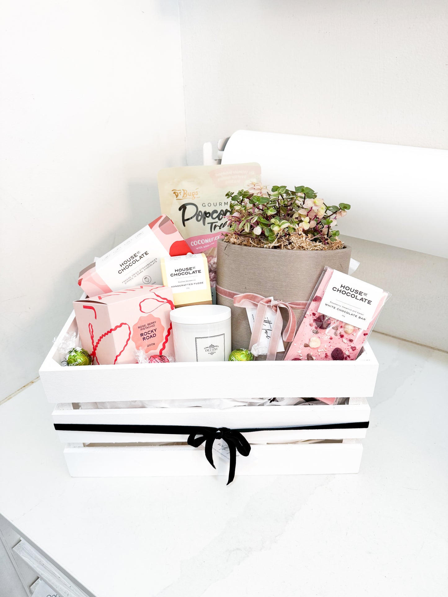 Plant Hamper