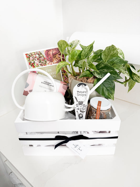 Plant Hamper