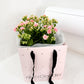 Kalanchoe