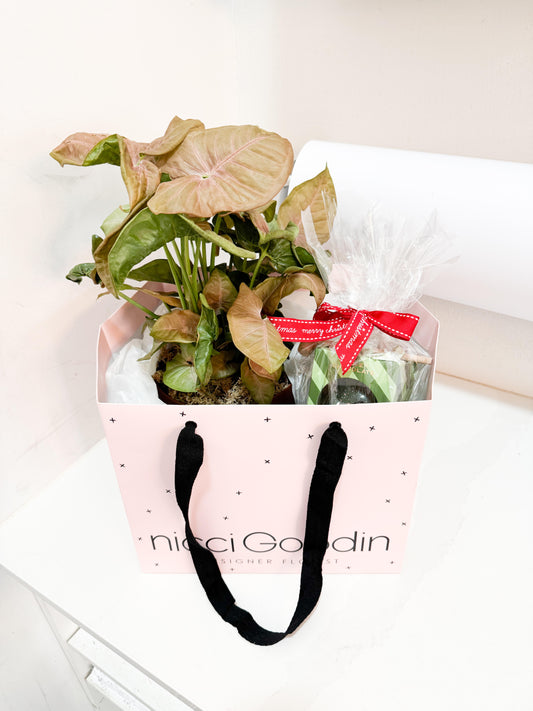 Pink Arrowhead + Chocolate Smash Ball