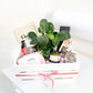 Gift Hamper