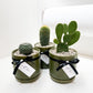 Cactus in Planter